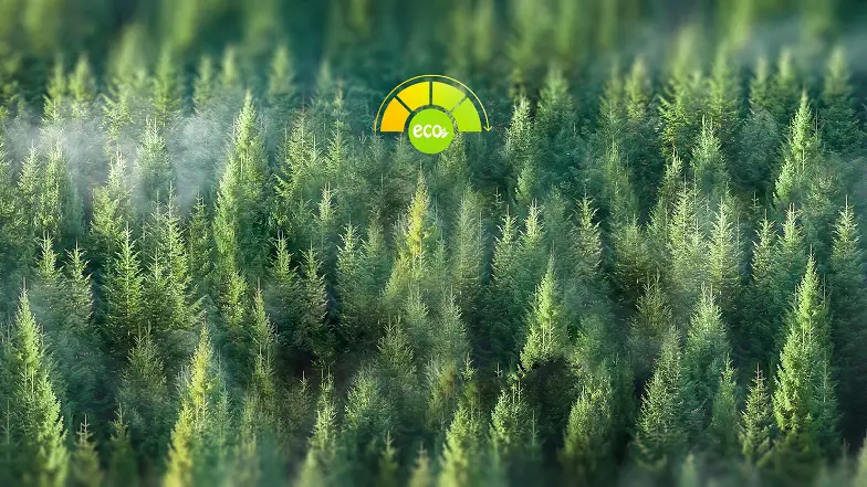 eco_new